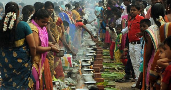 pongal